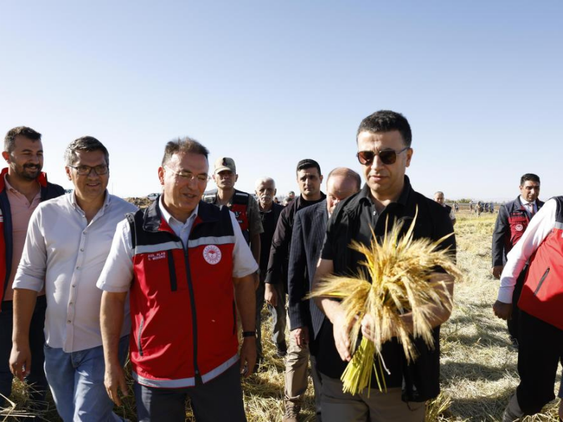 Diyarbakır Pirinç