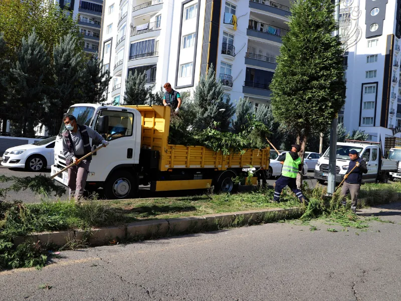 Diyarbakır’da Yeşil Alanlarda Bakım Çalışmaları Başladı3