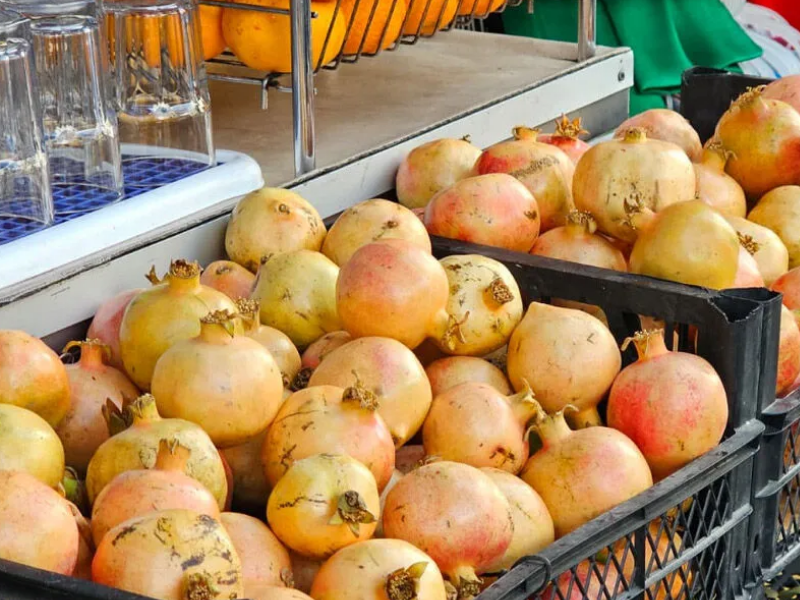 Kış Klasiği Zivzik Narı Yeniden Tezgahlarda3