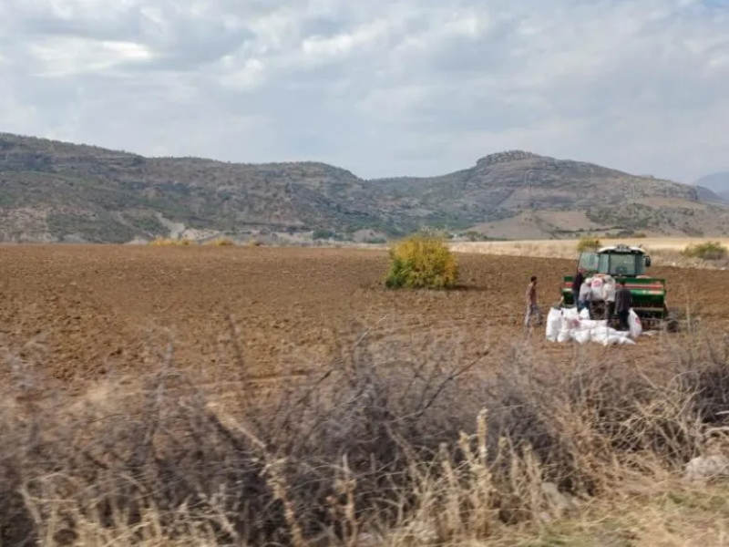 Yağışlar Ekim Sezonunu Başlattı2