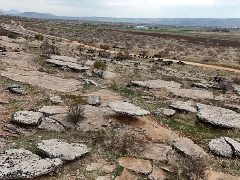 Adsız Tasarım 2025 12 21T205259.468