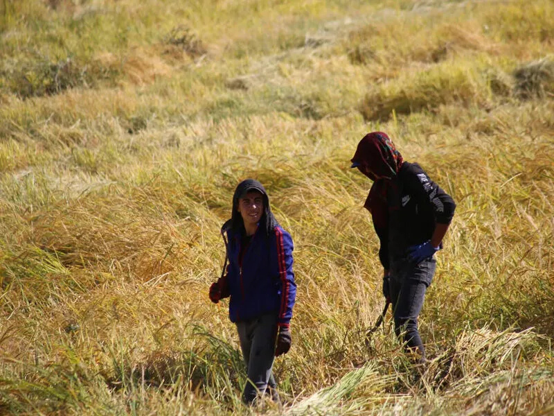 Coğrafi İşaretli, Tescilli Bir Değer