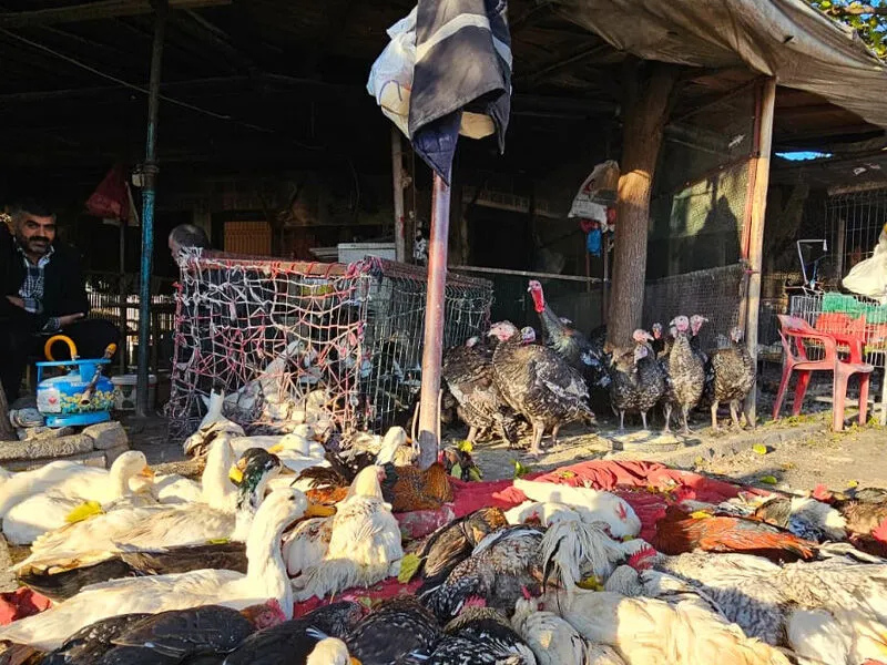 Dar Gelirlinin Tercihi Urfa Kapı