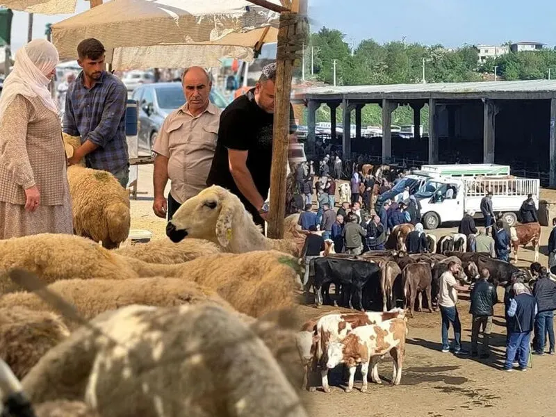 Diyarbakır’da Kurban Alanları Yeniden Hareketlenmeyebaşladı3
