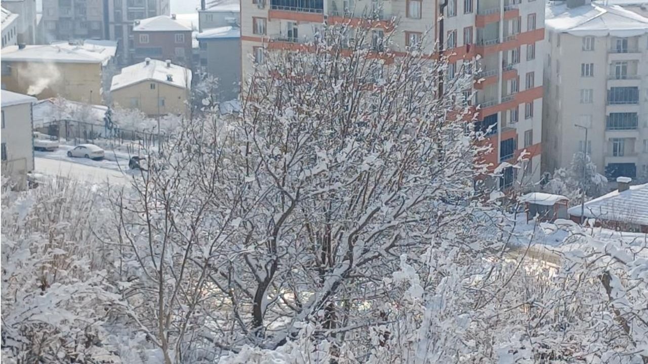 Diyarbakir Kulp Kar2