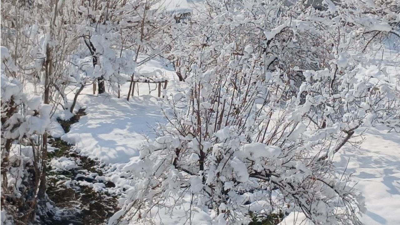 Diyarbakir Kulp Kar3