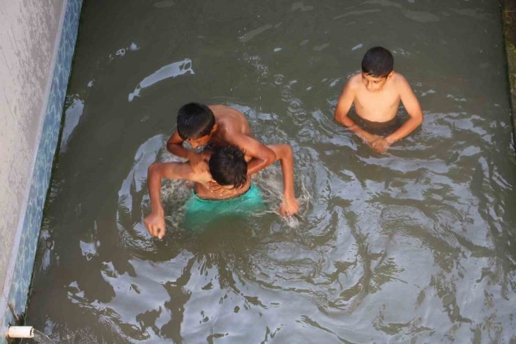 Bircok Hastaliga Iyi Gelmesiyle Bilinen Enkeris Sifali Suyu Hem