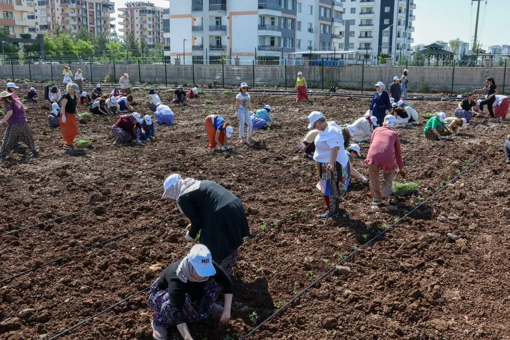 Eşbaşkan Bucak, kadınlarla birlikte Komün Bostanı’nda fide dikti 6