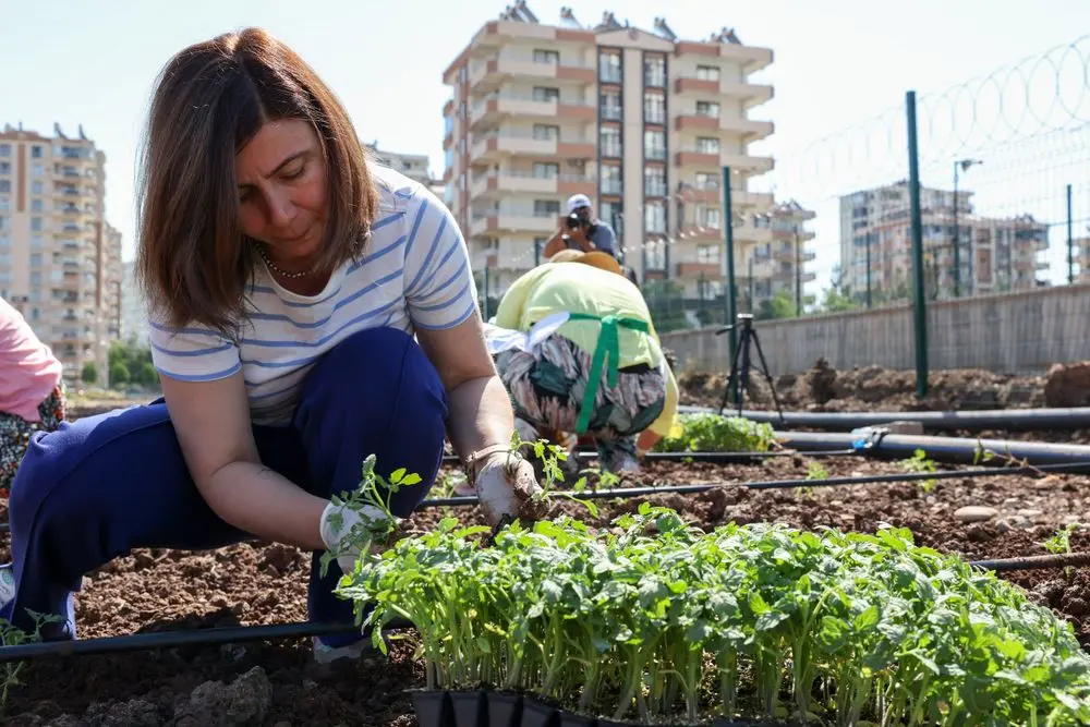 Eşbaşkan Bucak, kadınlarla birlikte Komün Bostanı’nda fide dikti 4