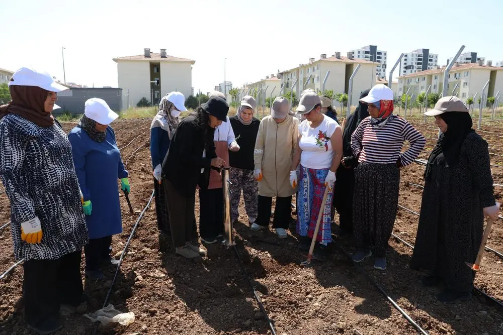 Kadınlar dayanışmayla üretiyor, komünal yaşamı büyütüyor 5