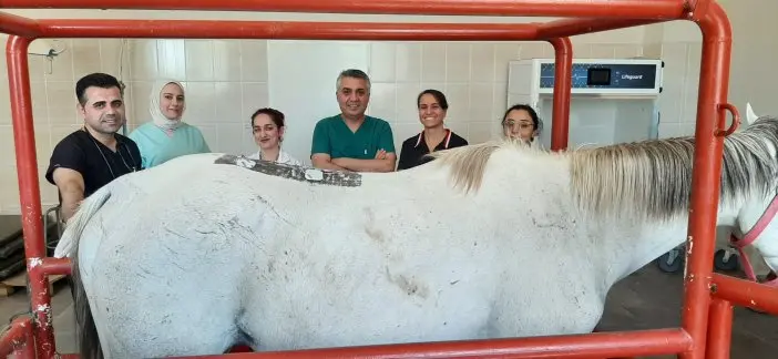 dicle-universitesinden-sampiyon-ata-fizik-tedavi-2.jpeg