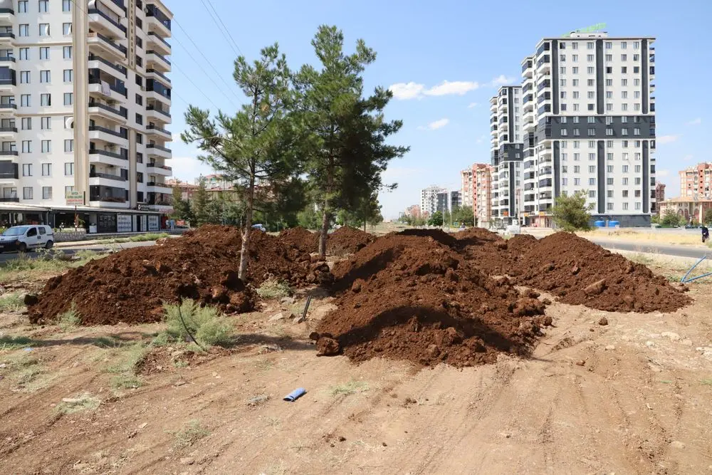 60 bin metrekarelik bulvar peyzajla yenileniyor 6