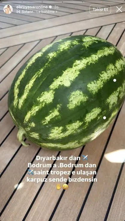 Ebru Yaşar'ın canı karpuz isterse: Diyarbakır'dan Saint-Tropez'ye 4 bin  kilometrelik yolculuk - Haberler