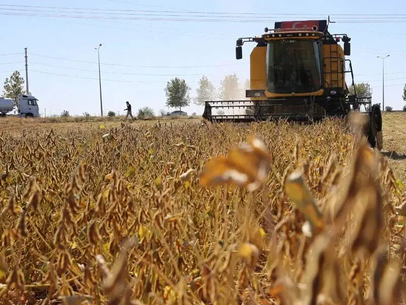 Diyarbakır'ın yüzde kaçı tarım alanı?
