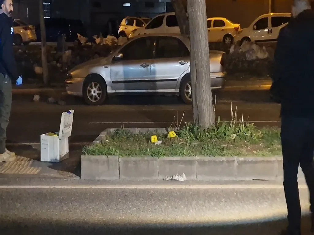 Diyarbakır'da eşini katleden sanık için ağırlaştırılmış müebbet hapis istemi