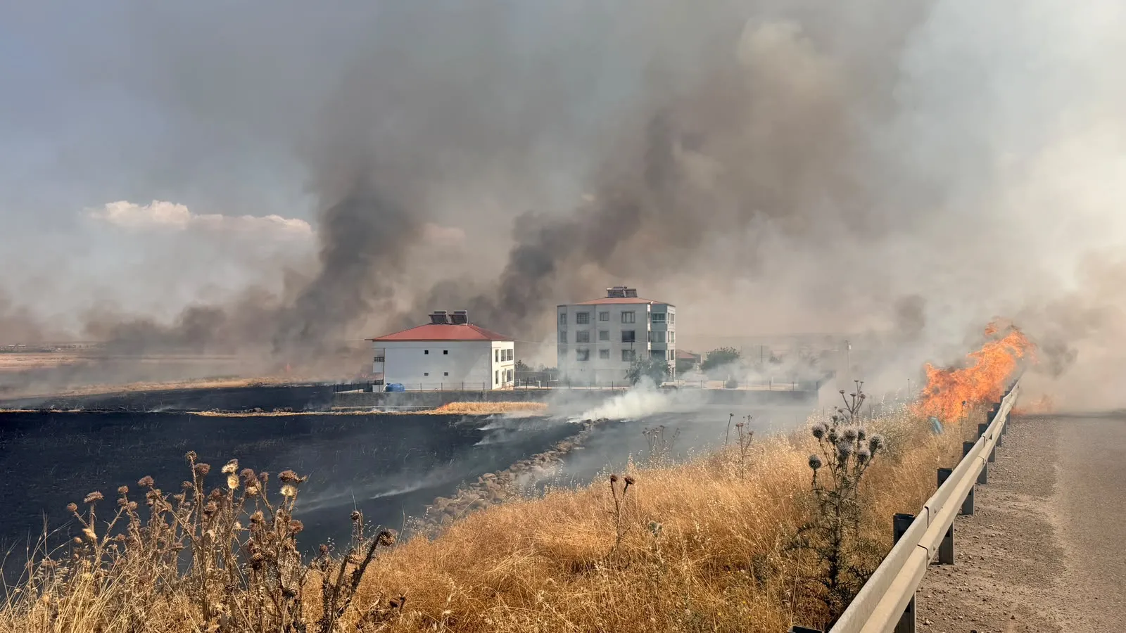 Diyarbakır Bağlar'da Kamışlo Bulvarı çevresini saran alevler evlere ulaşmadan söndürüldü