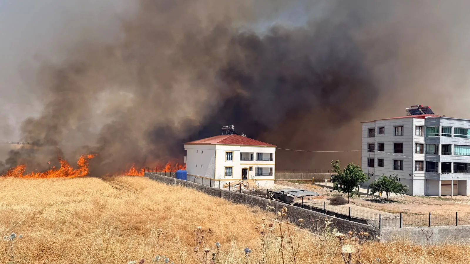 Diyarbakır Bağlar'da Kamışlo Bulvarı çevresini saran alevler evlere ulaşmadan söndürüldü