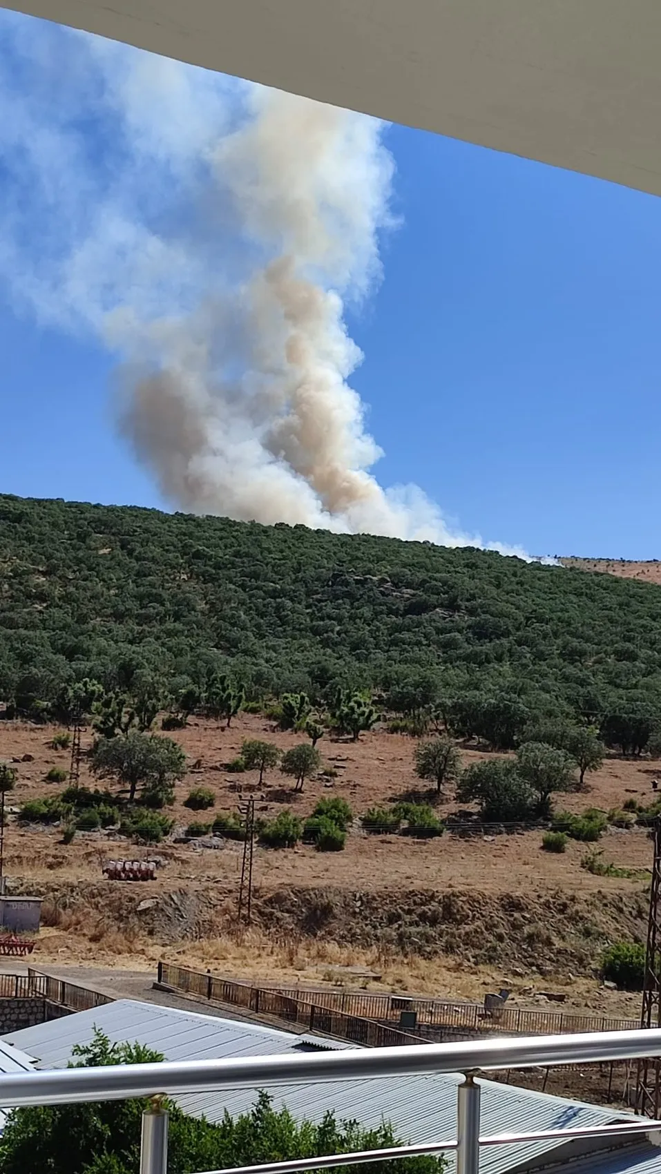 Silvan Çalıönü’ndeki meşe ormanında korkutan yangın Ekipler alevleri söndürdü