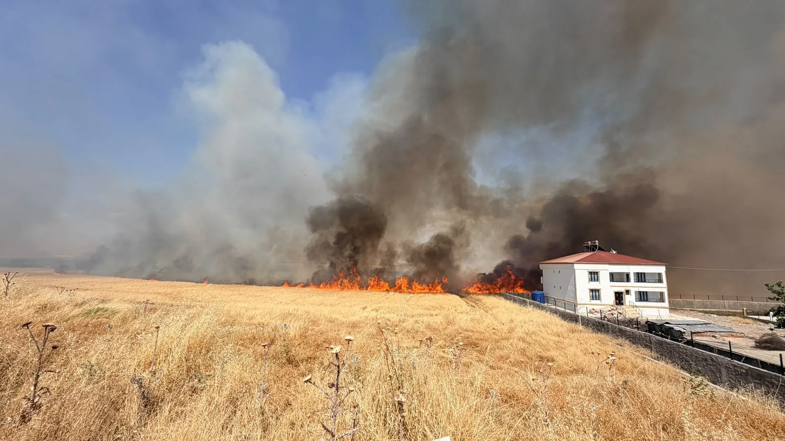 Diyarbakır Bağlar'da Kamışlo Bulvarı çevresini saran alevler evlere ulaşmadan söndürüldü