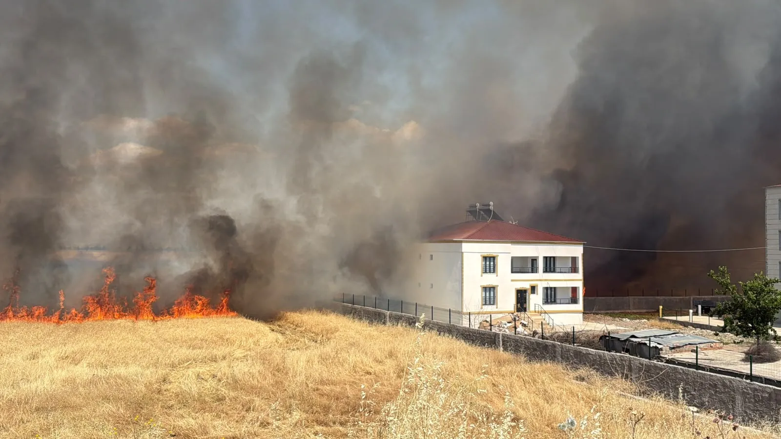 Diyarbakır Bağlar'da Kamışlo Bulvarı çevresini saran alevler evlere ulaşmadan söndürüldü