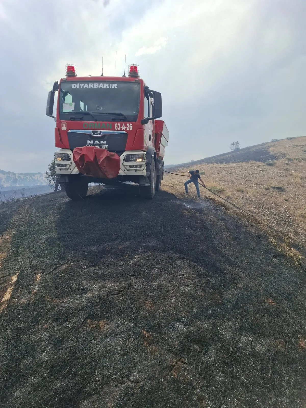 Diyarbakır'ın beş ilçesinde aynı anda çıkan yangınlar 100 hektar alanı kül etti 10 noktada