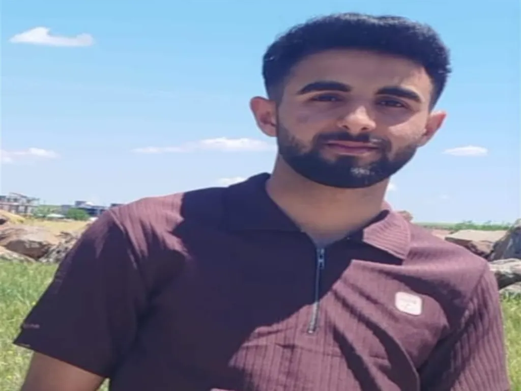 Diyarbakır Çınar'daki acı kazanın araç içi kamera kayıtları facianın boyutunu gözler önüne