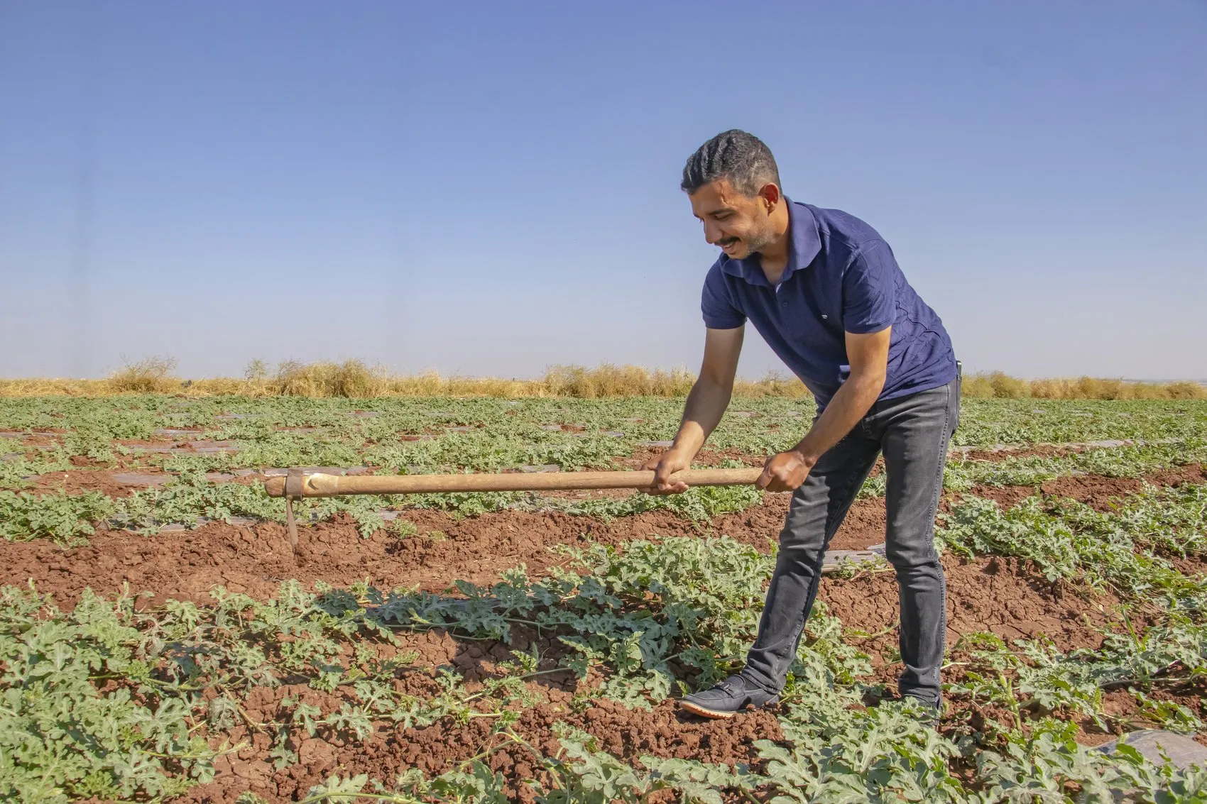 Diyarbakır'ın meşhur karpuz tarlalarında dolu hasarı Hasat takvimi 20 Temmuz'a ertelendi