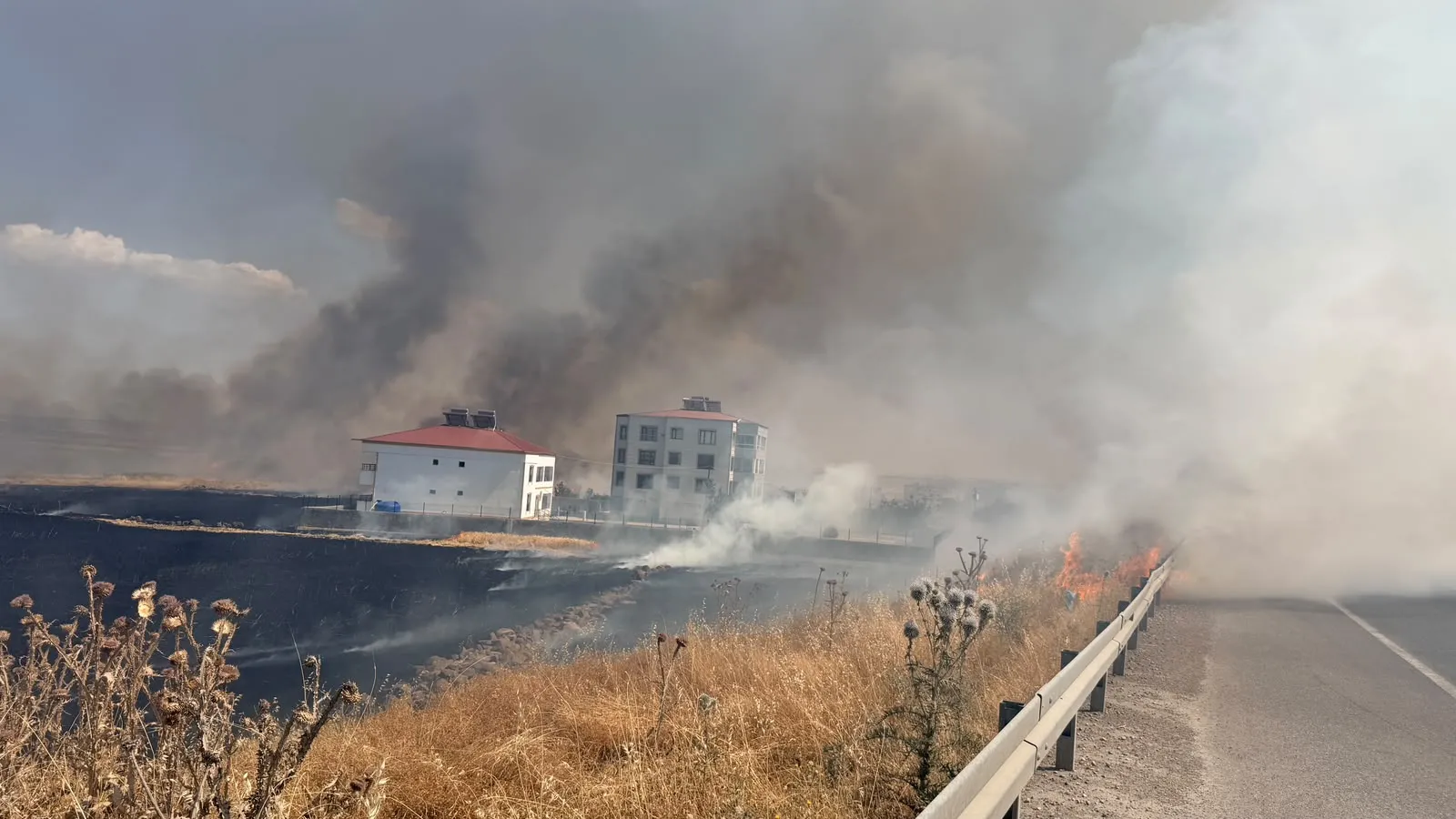 Diyarbakır Bağlar'da Kamışlo Bulvarı çevresini saran alevler evlere ulaşmadan söndürüldü