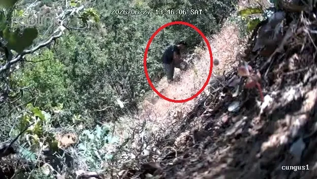 Diyarbakır Çüngüş'te ormanda kenevir sularken fotokapana yakalanan CHP'li başkan ve oğlu