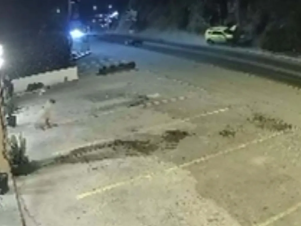 Bodrum’daki kazada iki gencin ölümüne yol açan şoförün ev hapsiyle salıverilmesine itiraz