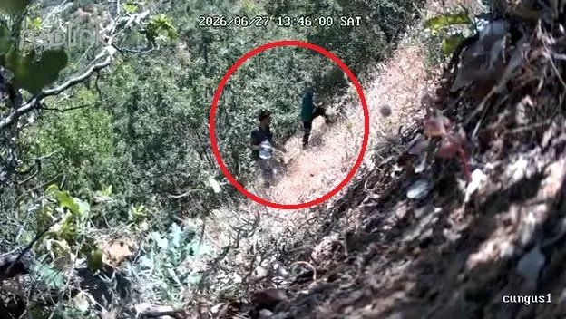 Diyarbakır Çüngüş'te ormanda kenevir sularken fotokapana yakalanan CHP'li başkan ve oğlu