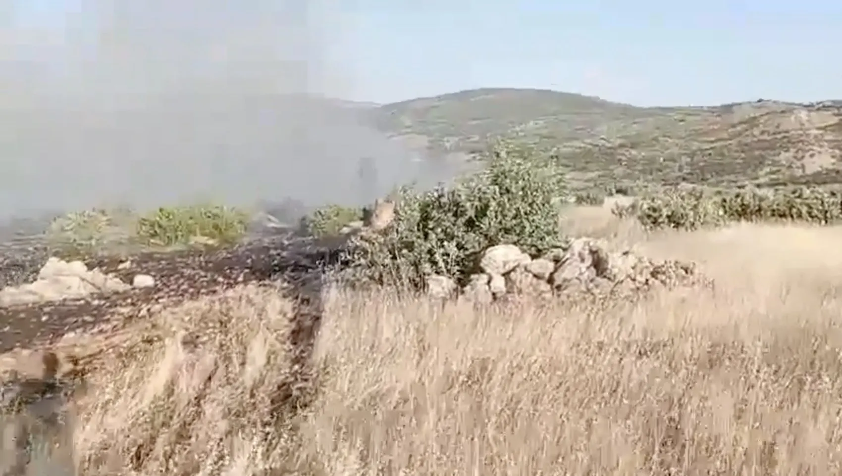 Dicle ilçesinde korkutan örtü yangını Alevler rüzgarın etkisiyle geniş alana yayıldı