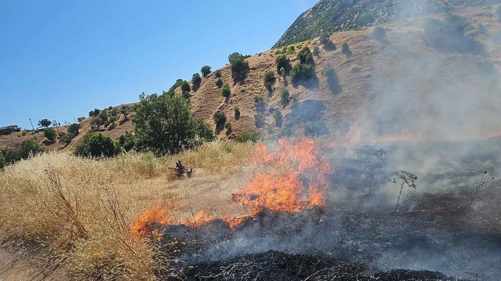 Diyarbakır Dicle’de Gölbaşı Mahallesi’nde örtü yangını Ekipler alevlerle savaşıyor