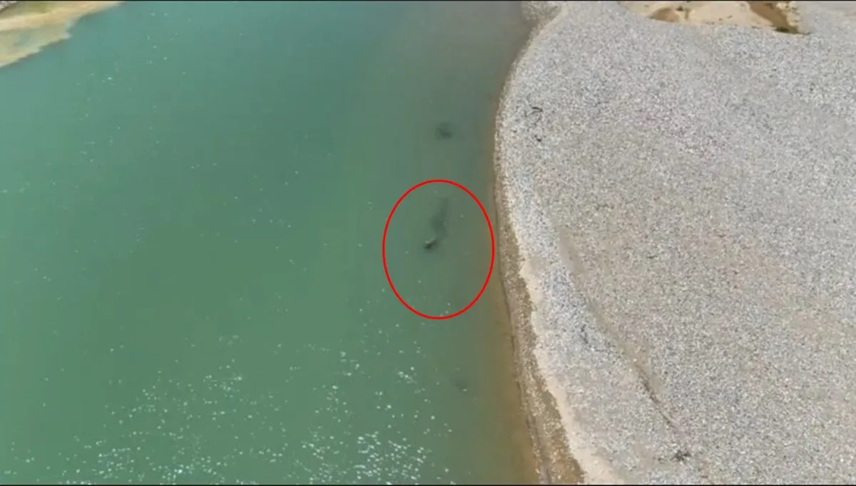 Silvan'da dört gündür aranan Abdullah Yanık Batman Çayı'nda cansız bulundu