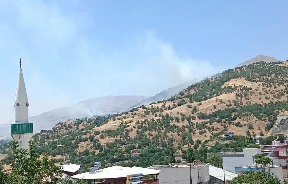 Çüngüş Çınarköy'de korkutan örtü yangını Alevler rüzgarın etkisiyle hızla yayıldı