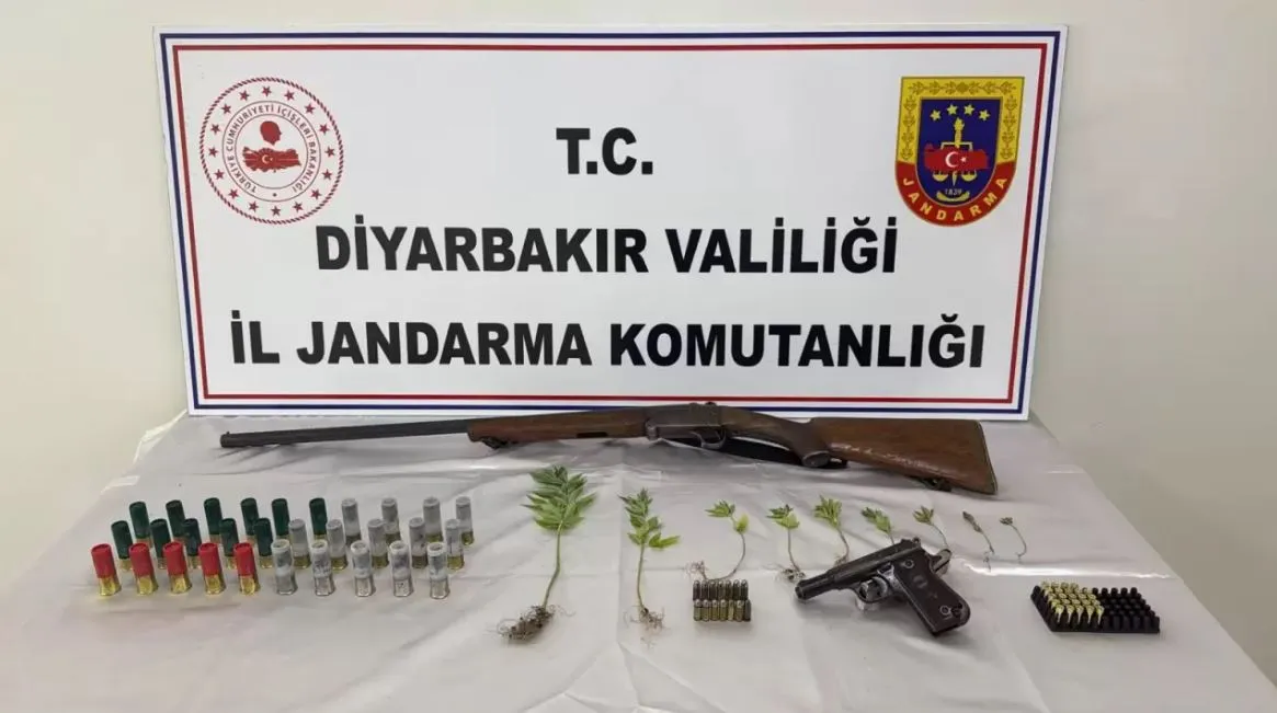 Diyarbakır Çüngüş'te ormanda kenevir sularken fotokapana yakalanan CHP'li başkan ve oğlu