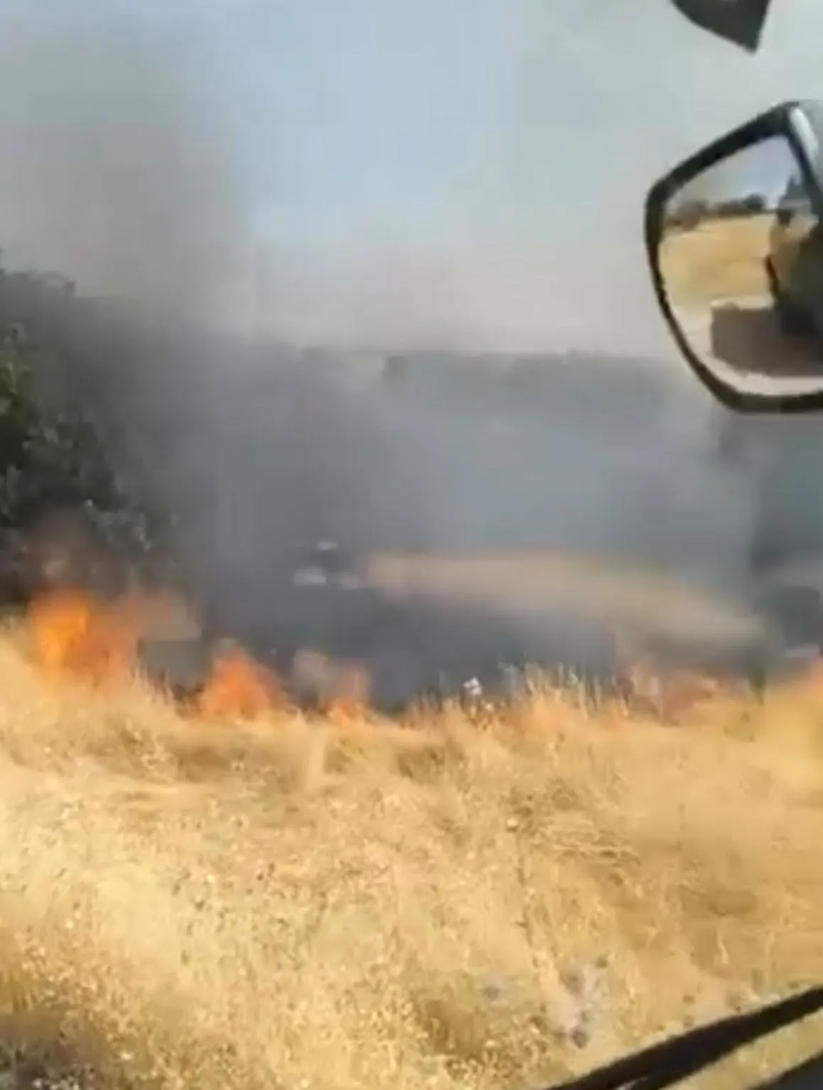 Lice'nin Türeli kırsalında korkutan yangın Alevler yerleşim yerlerine yaklaşıyor
