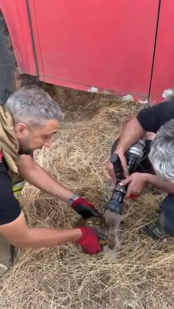 Lice'de 450 dönümlük alan küle döndü İtfaiye ekipleri alevlerin içinden kaplumbağa