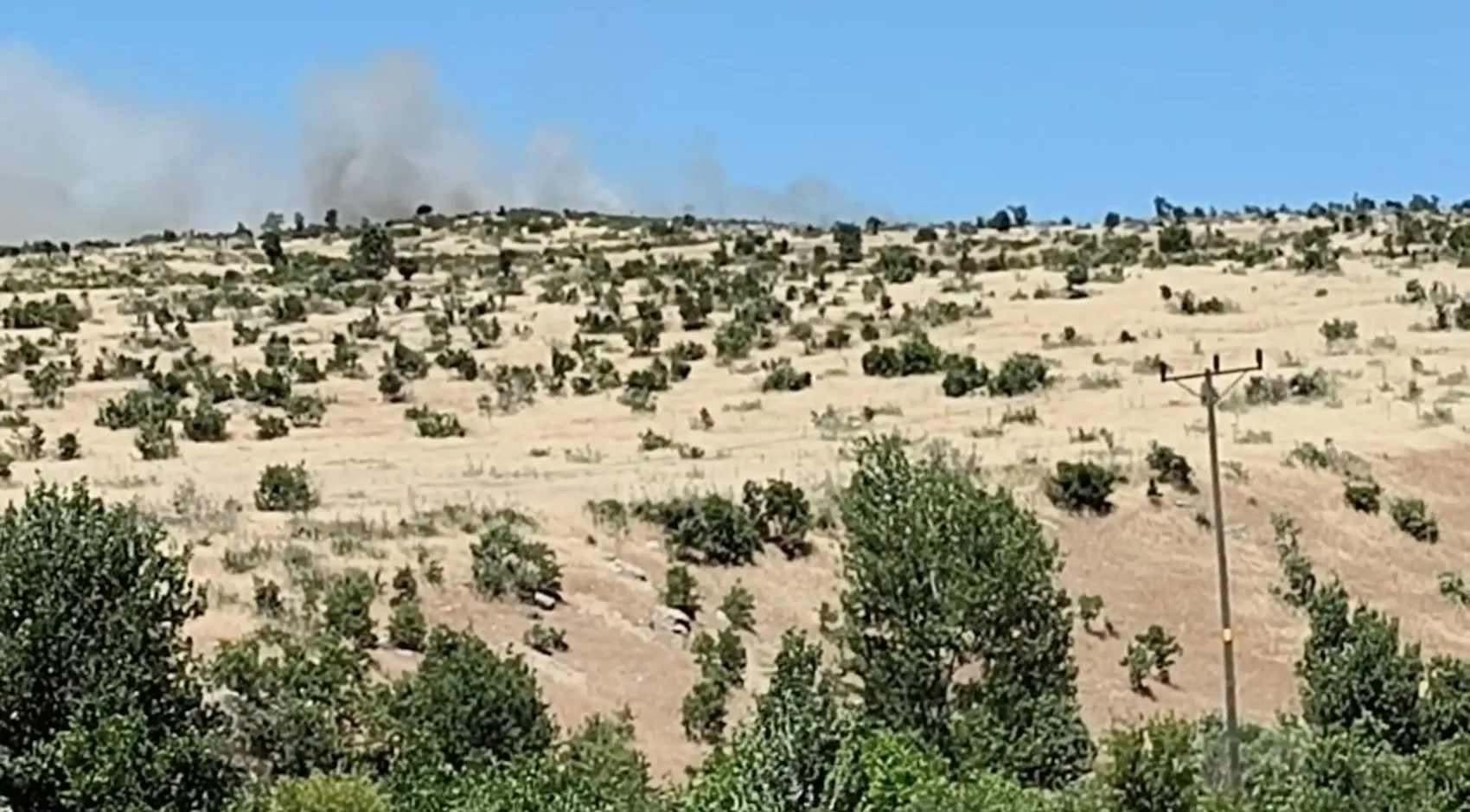 Dicle ilçesinde korkutan örtü yangını Alevler rüzgarın etkisiyle geniş alana yayıldı