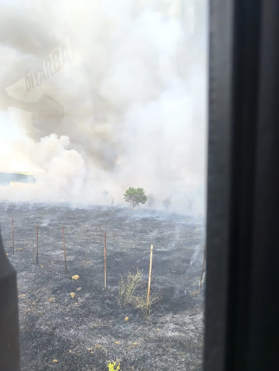 Lice'nin Türeli kırsalında korkutan yangın Alevler yerleşim yerlerine yaklaşıyor