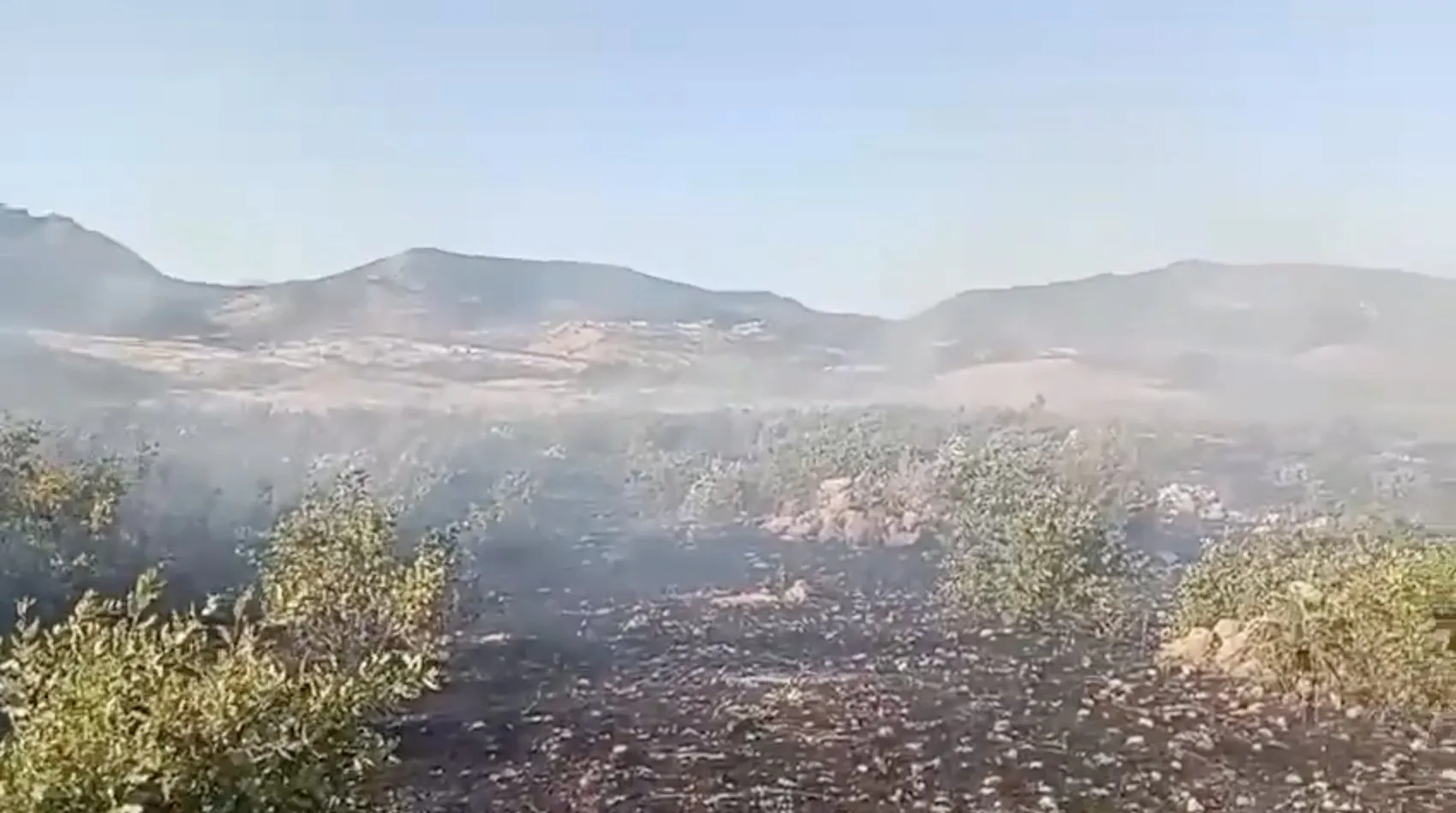 Dicle ilçesinde korkutan örtü yangını Alevler rüzgarın etkisiyle geniş alana yayıldı