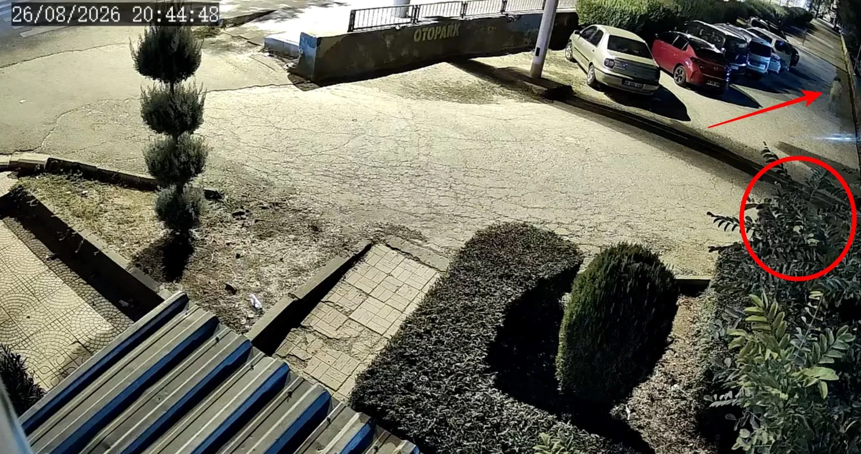 Diyarbakır'da boşanma aşamasındaki eşini parkta vurdu Çocuğunu alıp kaçtı, o anlar