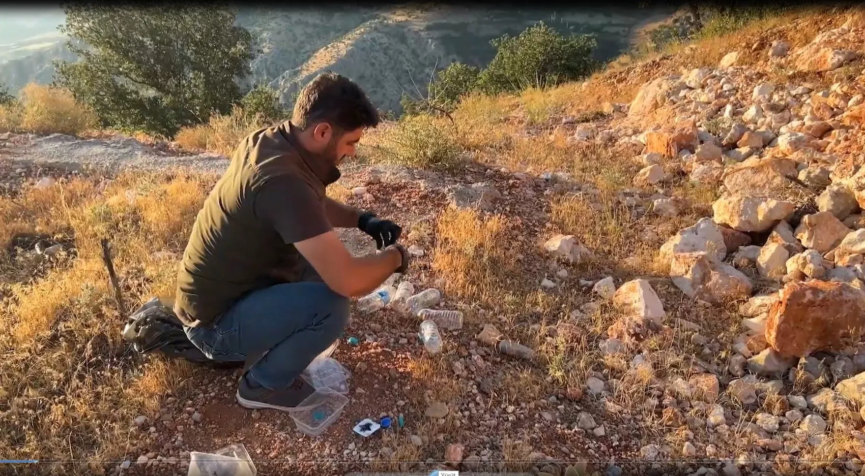 Nemrut'ta canlı çekirgeyle yakalanan şüphelilere 1,4 milyon TL ceza Uzman uyardı
