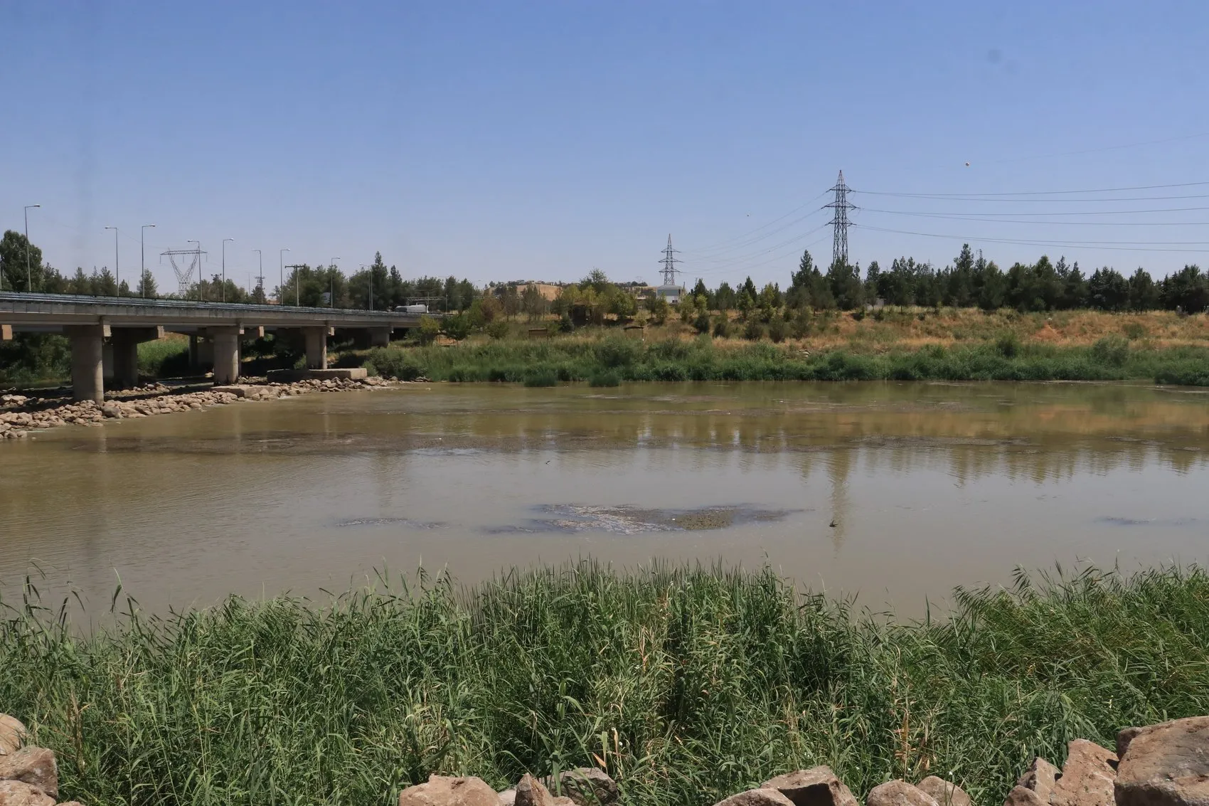 Dicle Vadisi çöplüğe döndü Uzmanlar yaban hayatı ve çevre için alarm verdi
