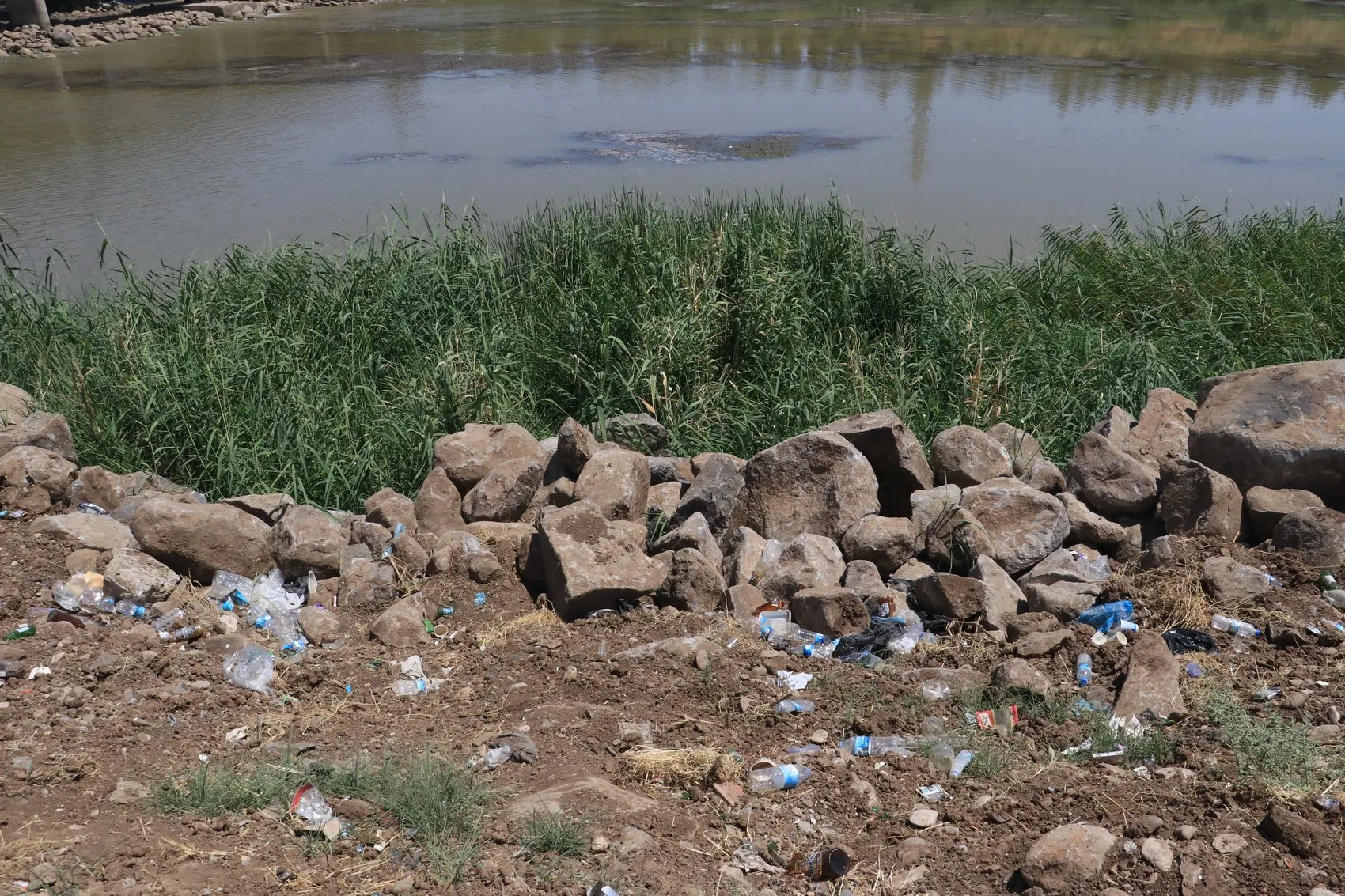 Dicle Vadisi çöplüğe döndü Uzmanlar yaban hayatı ve çevre için alarm verdi