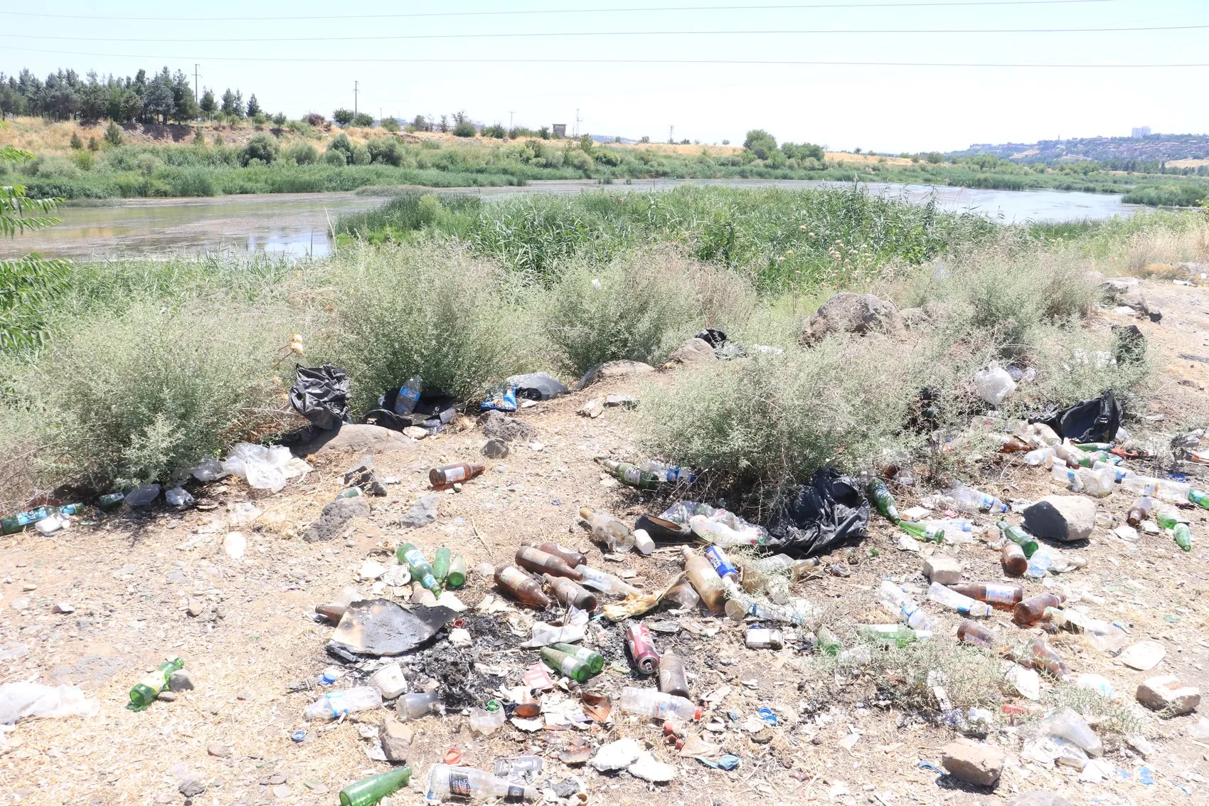 Dicle Vadisi çöplüğe döndü Uzmanlar yaban hayatı ve çevre için alarm verdi