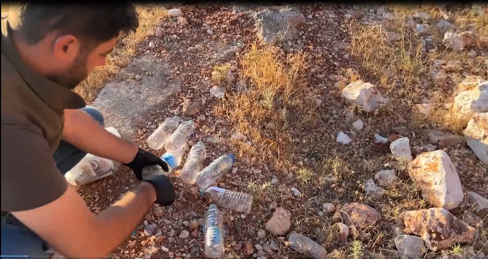 Nemrut'ta canlı çekirgeyle yakalanan şüphelilere 1,4 milyon TL ceza Uzman uyardı