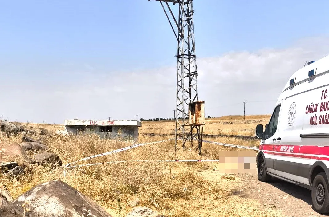 Diyarbakır Bağlar'da arazide bulunan cansız beden sonrası iki şüpheli gözaltına alındı