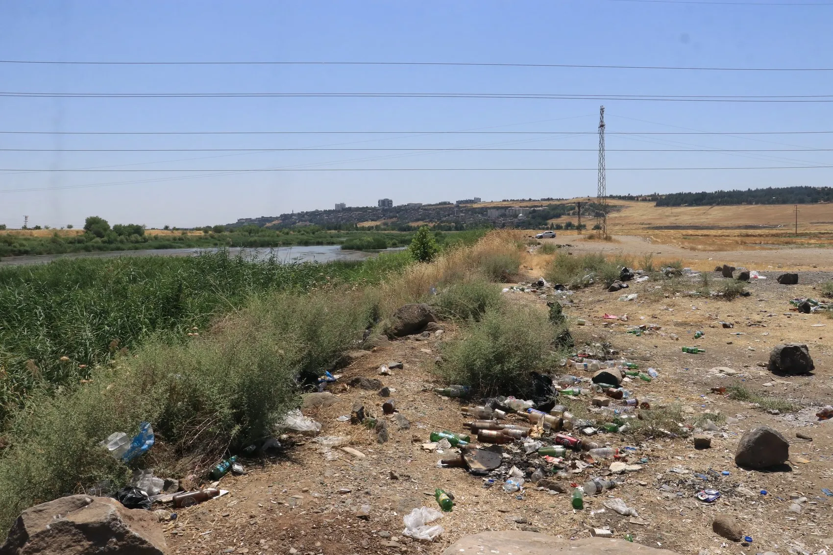 Dicle Vadisi çöplüğe döndü Uzmanlar yaban hayatı ve çevre için alarm verdi
