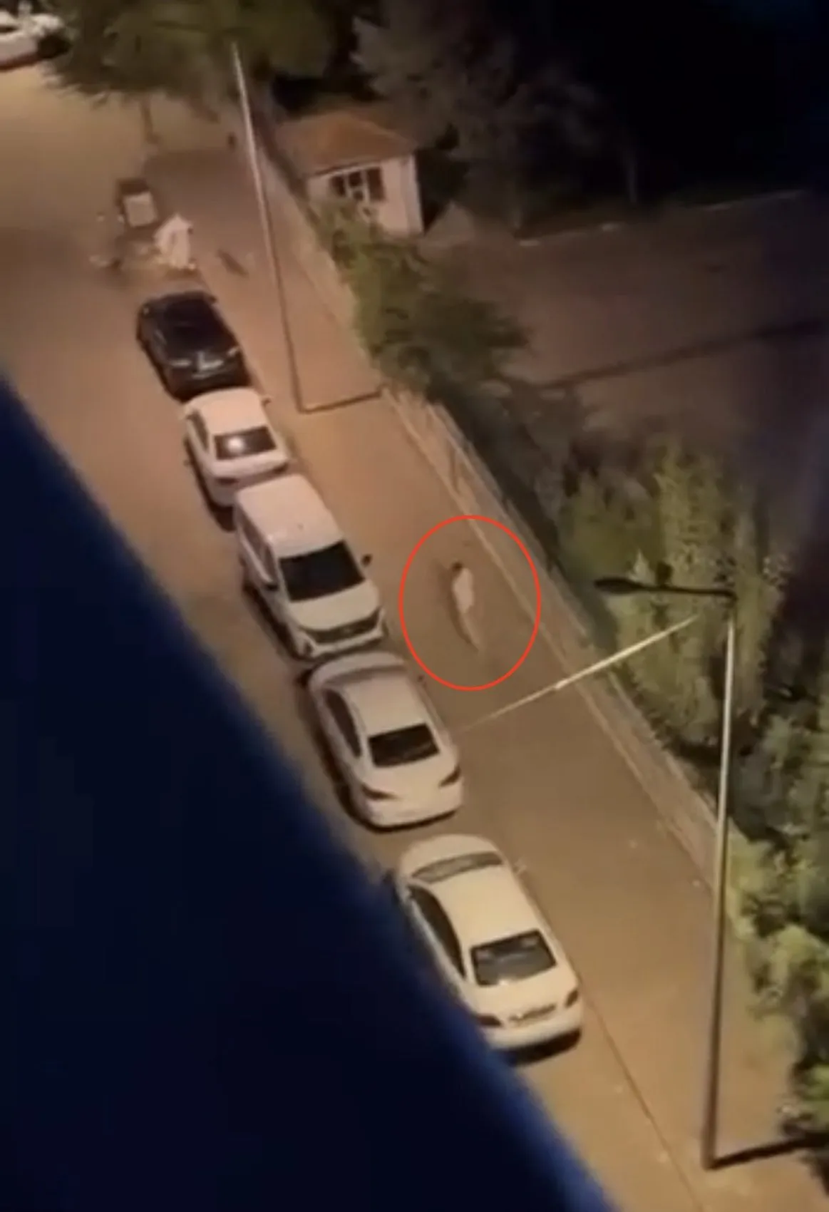 Bağlar'da sokak ortasında yumruklu kavga: O anlar cep telefonu kamerasında